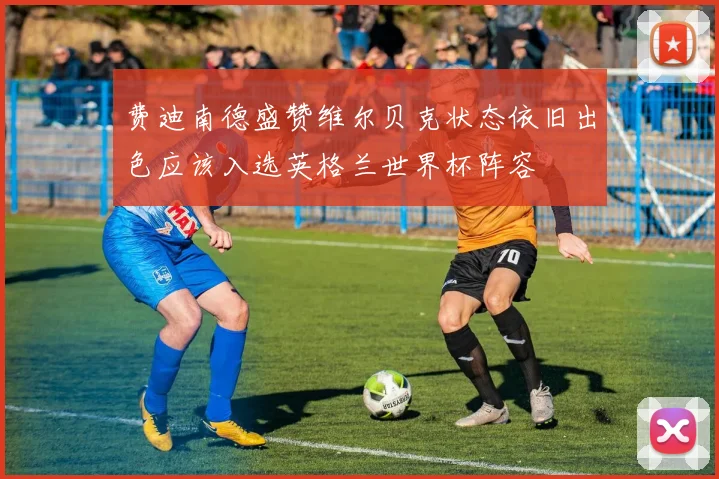 费迪南德盛赞维尔贝克状态依旧出色应该入选英格兰世界杯阵容